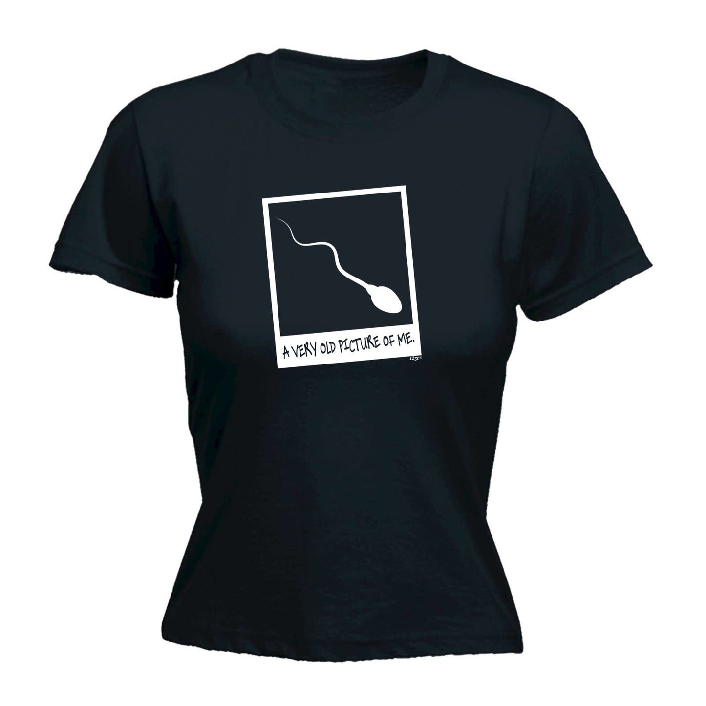 Old Picture Of Me - Funny Womens T-Shirt Tshirt