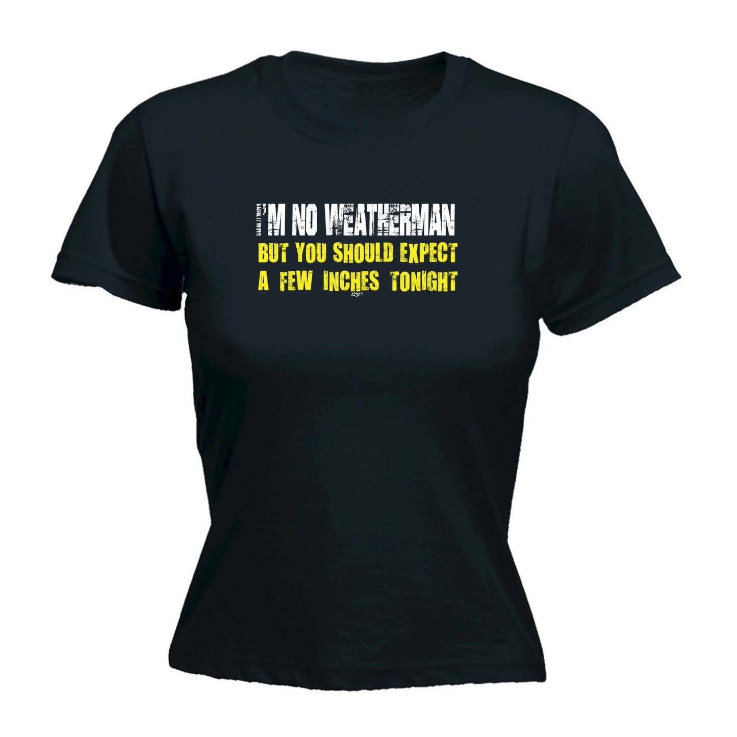 Im No Weatherman - Funny Womens T-Shirt Tshirt