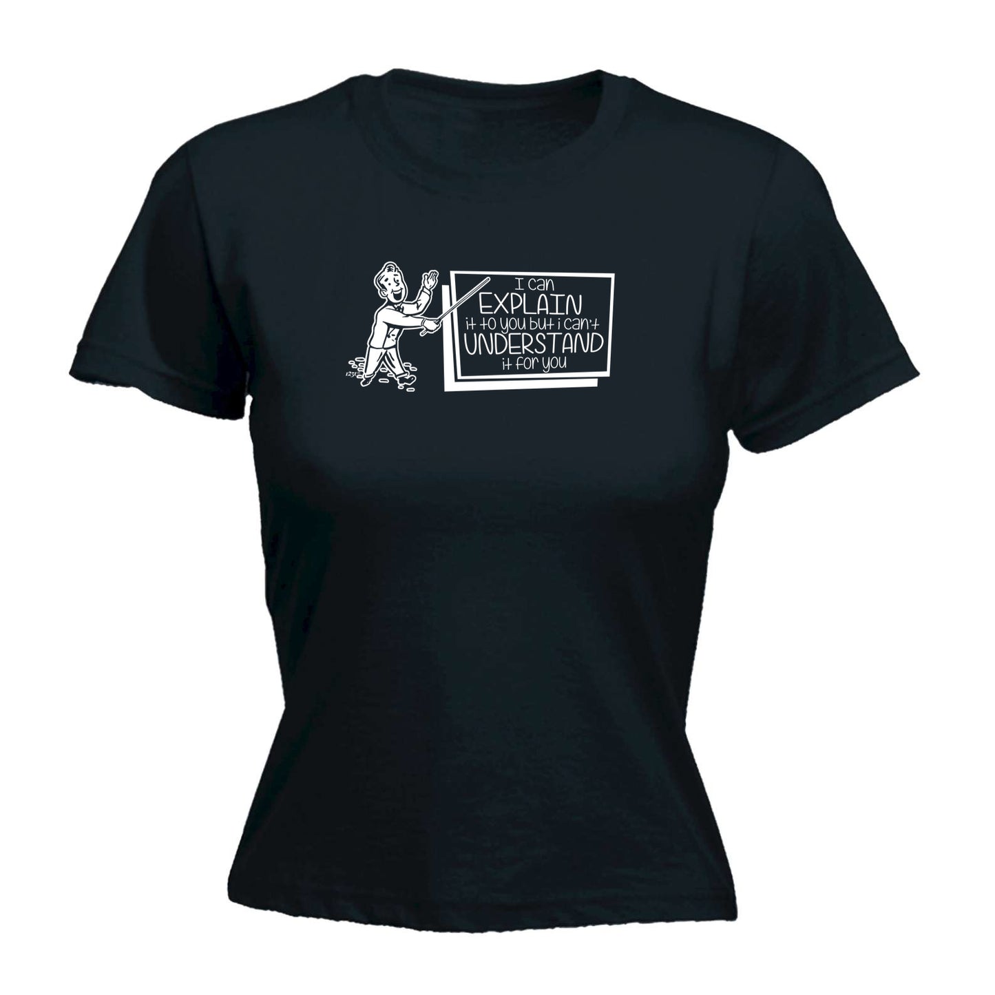 Can Explain It To You But - Funny Womens T-Shirt Tshirt