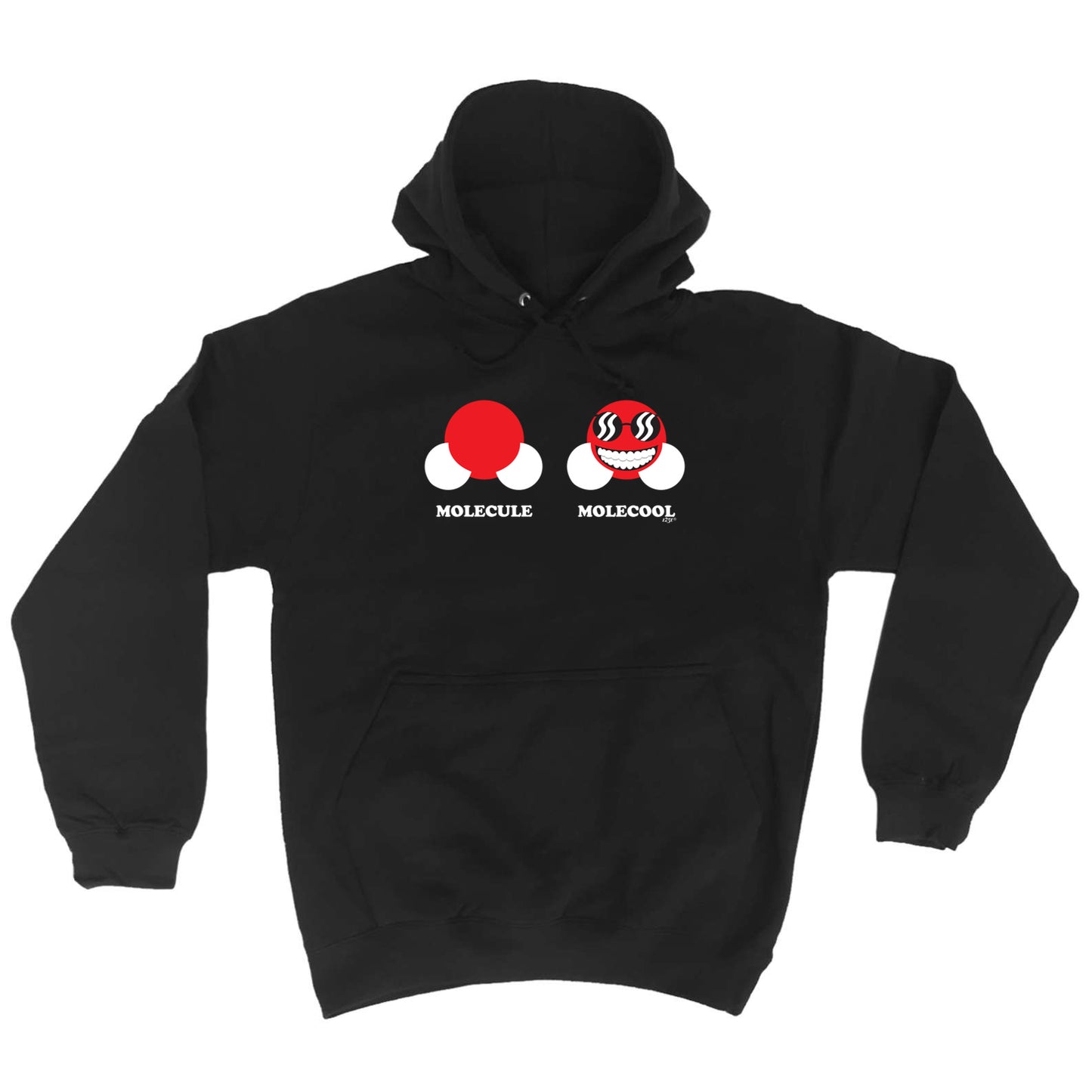 Molecule Molecool - Funny Hoodies Hoodie