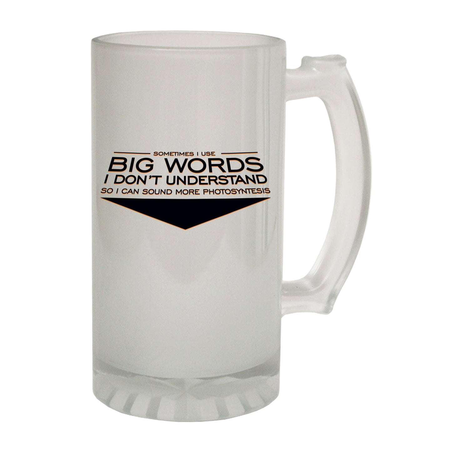 Big Words Photosynthesis - Novelty Funny Frosted Stein - Gift Boxed