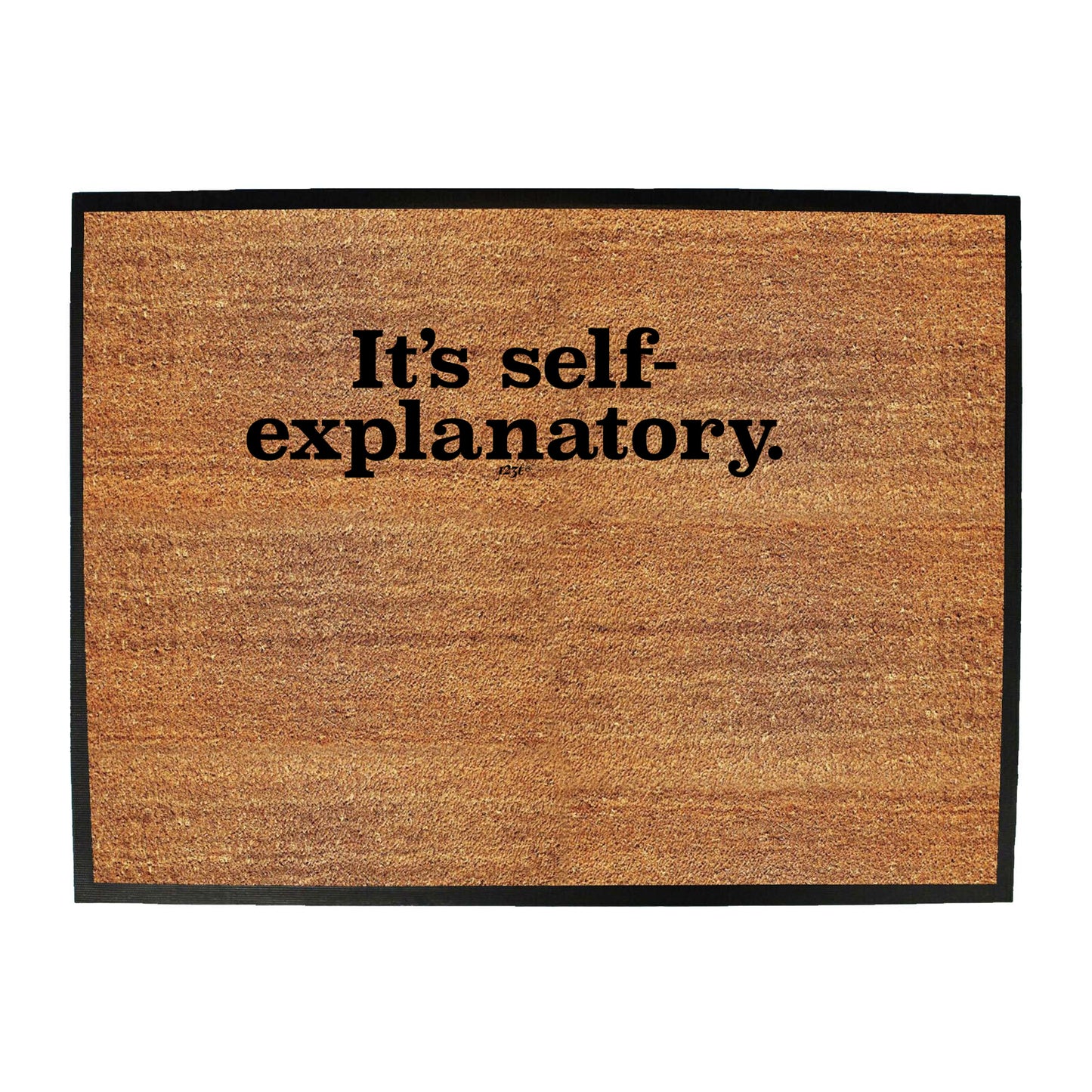 Its Self Explanatory - Funny Novelty Doormat