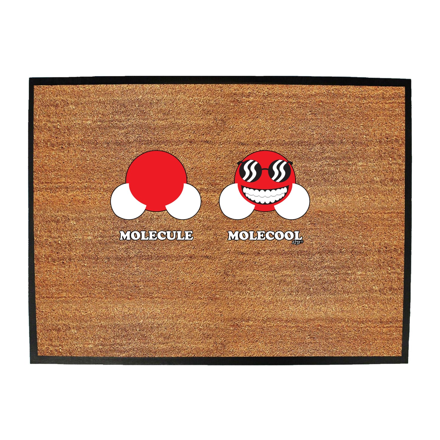 Molecule Molecool - Funny Novelty Doormat