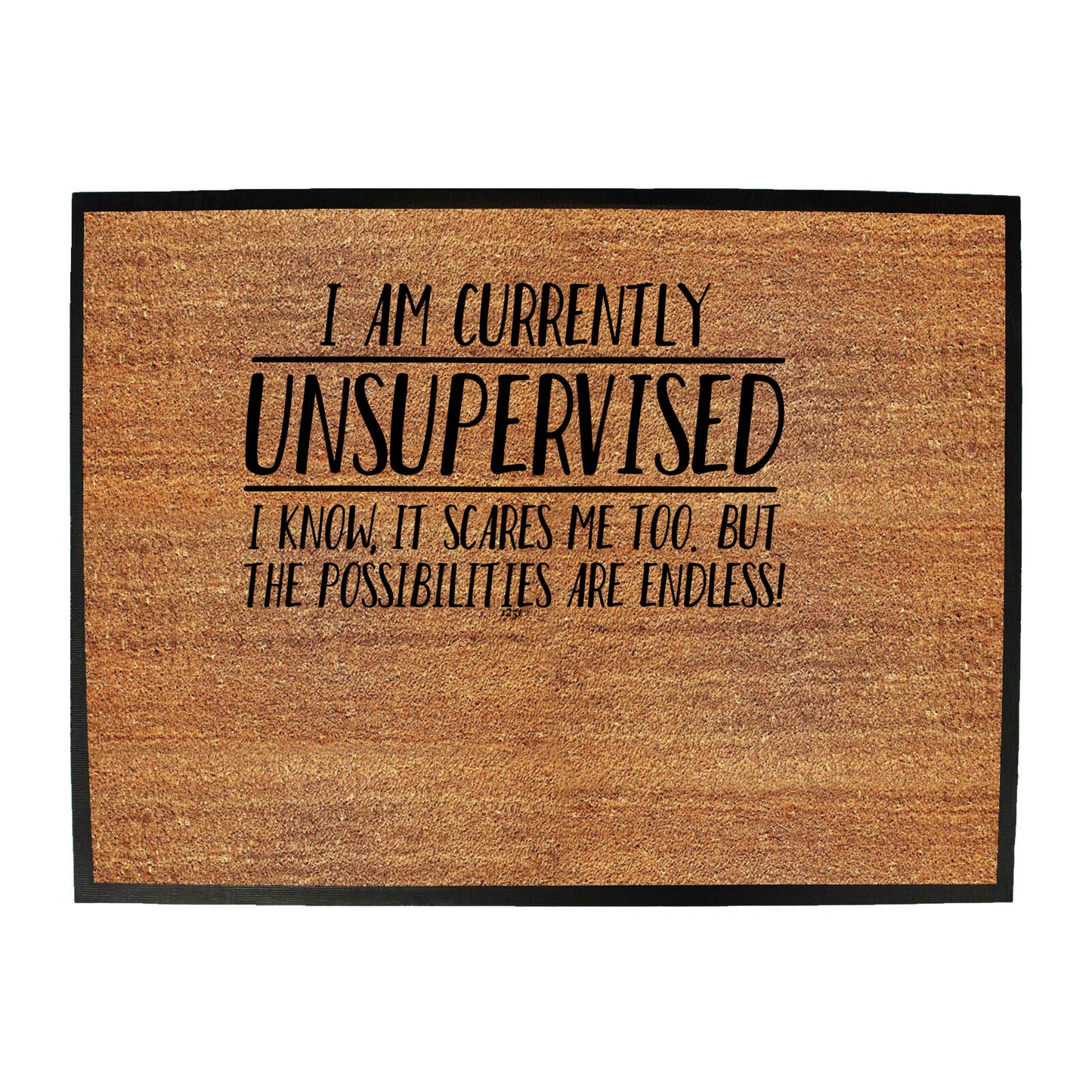 Currently Unsupervised Possisilities Endless - Funny Novelty Doormat