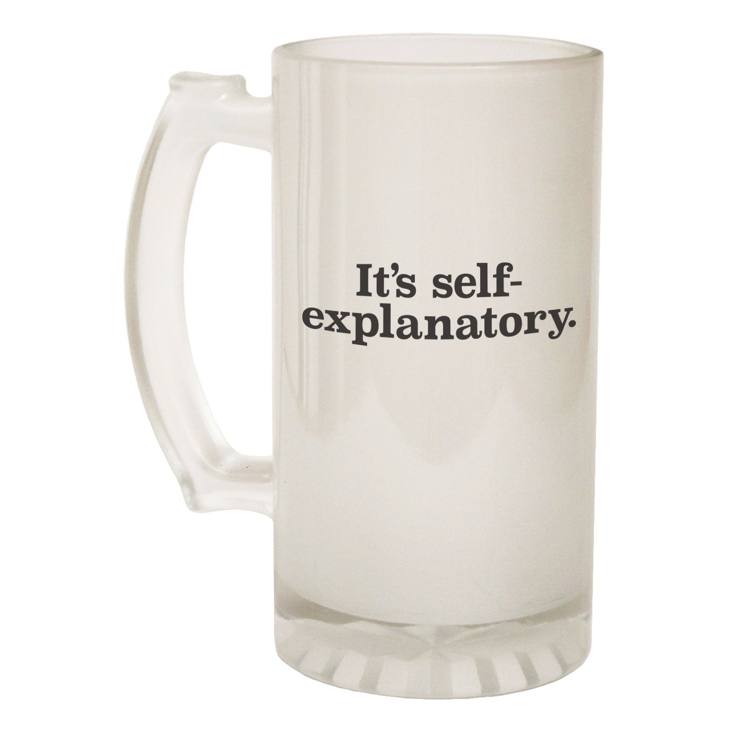 Self Explanatory Joke - Novelty Funny Frosted Stein - Gift Boxed