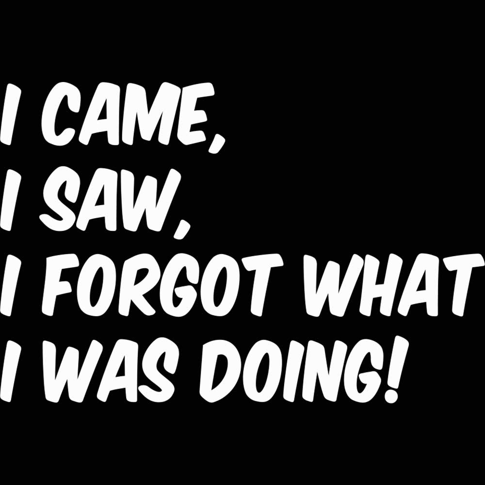 I Came Saw Forgot What I Was Doing - Mens 123t Funny T-Shirt Tshirts