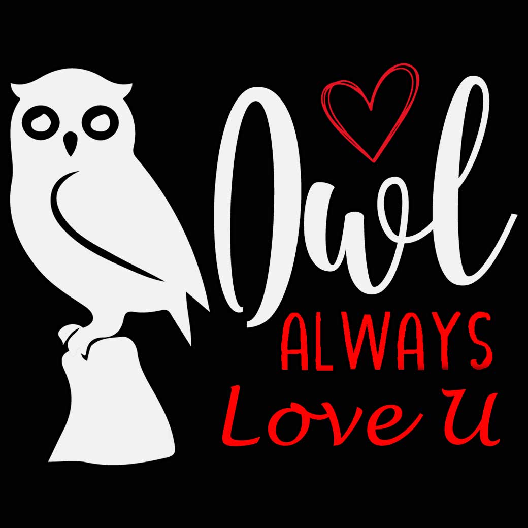 Owl Always Love You Valentines - Mens 123t Funny T-Shirt Tshirts