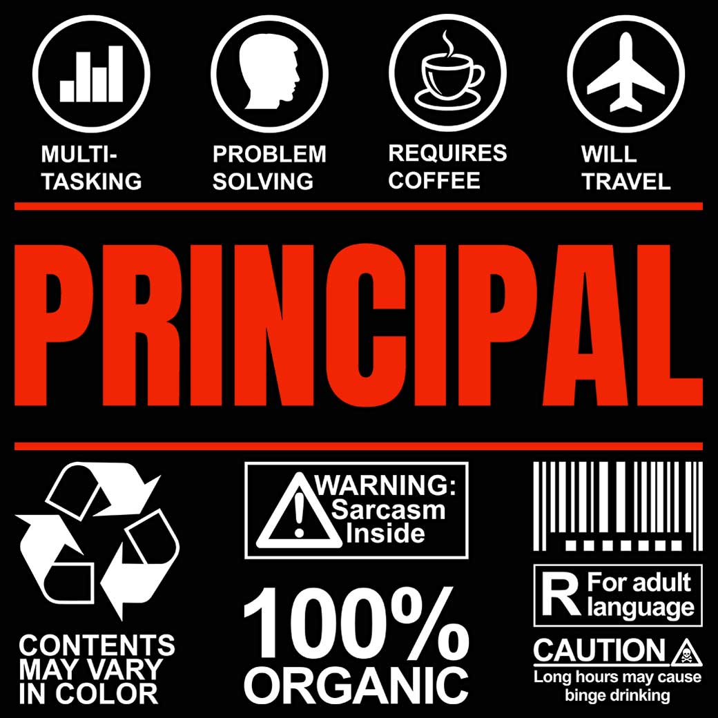 Principal School Teacher Sarcastic Humour - Mens 123t Funny T-Shirt Tshirts