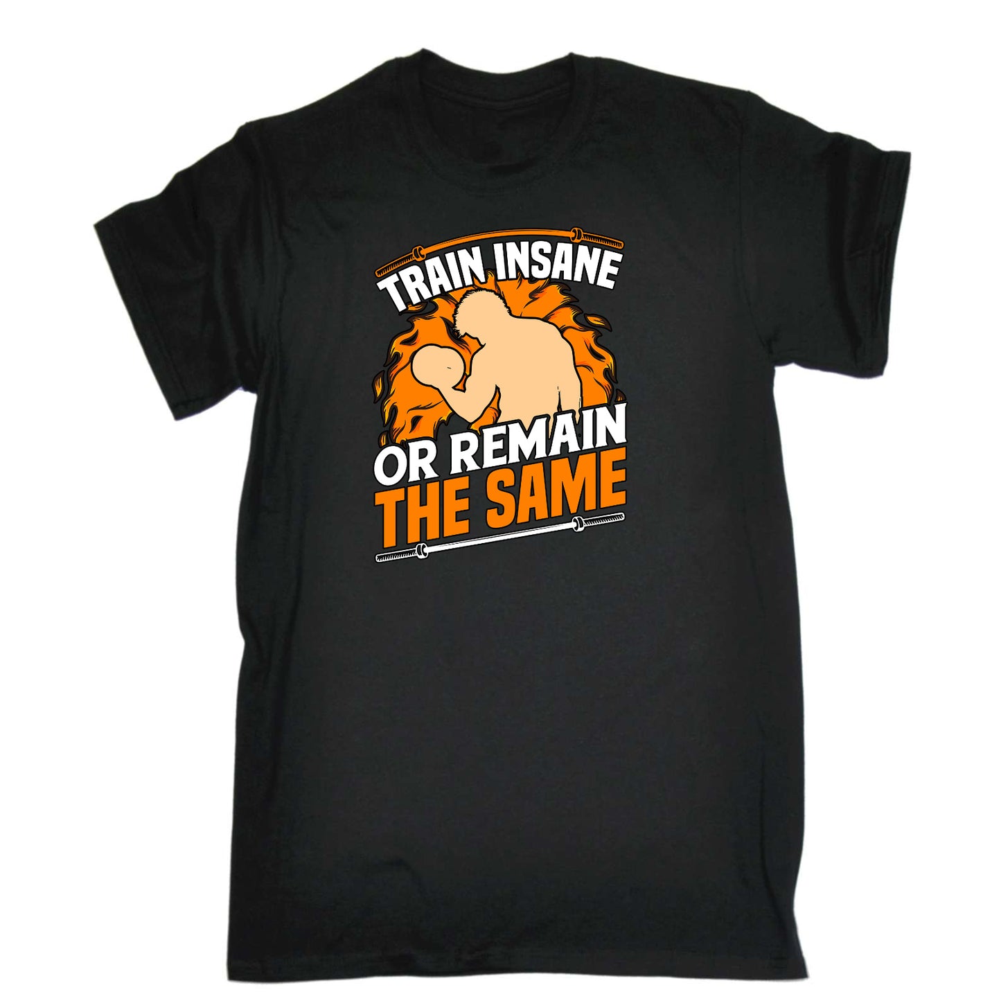 Train Insane Remain The Same V2 Gym Bodybuilding - Mens Funny T-Shirt Tshirts