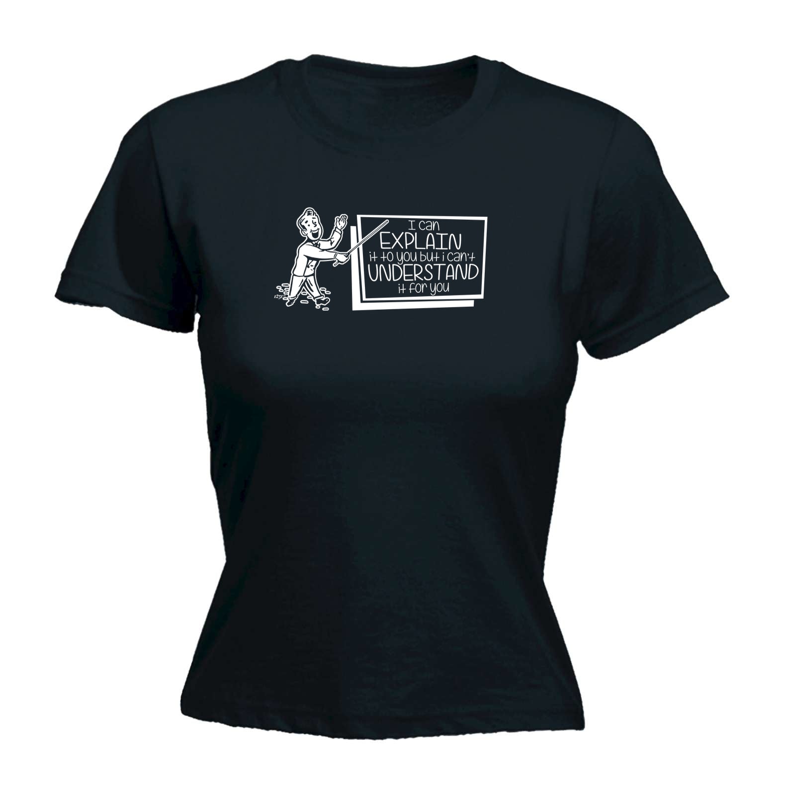 Can Explain It To You But - Funny Womens T-Shirt Tshirt
