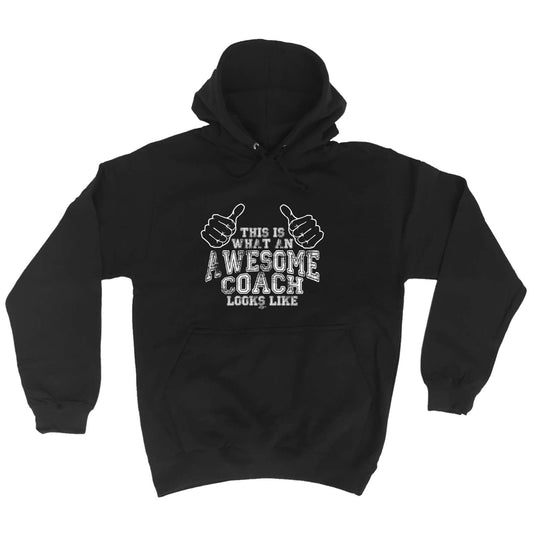 This Is What Awesome Coach - Funny Hoodies Hoodie