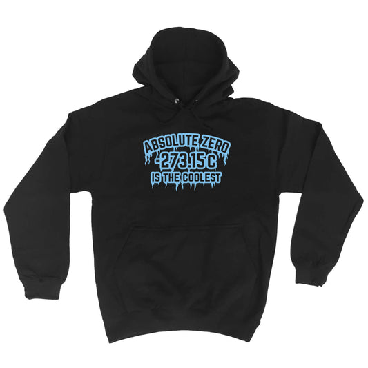 Absolute Zero Is The Coolest - Funny Hoodies Hoodie