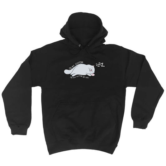 Im Not Sleeping Cat - Funny Hoodies Hoodie
