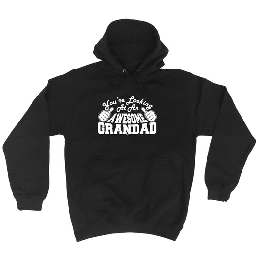 Youre Looking At An Awesome Grandad - Funny Hoodies Hoodie