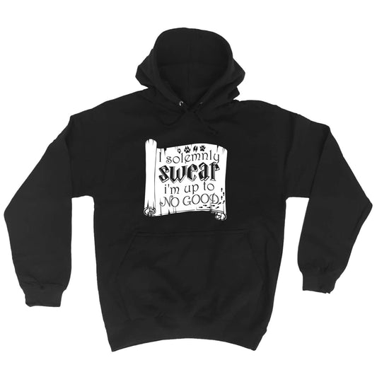 Solemnly Swear Im Up To No Good - Funny Hoodies Hoodie