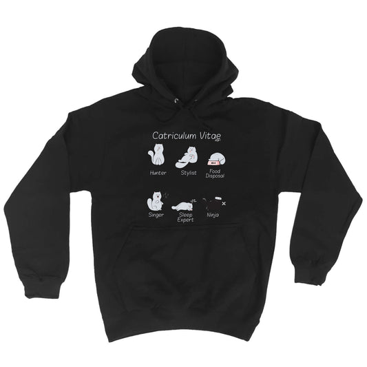 Catriculum Vitae Cat - Funny Hoodies Hoodie