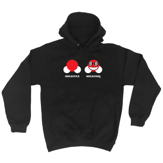 Molecule Molecool - Funny Hoodies Hoodie
