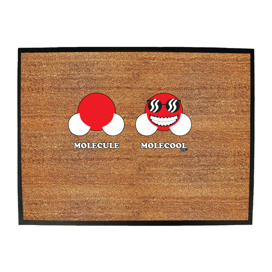 Molecule Molecool - Funny Novelty Doormat