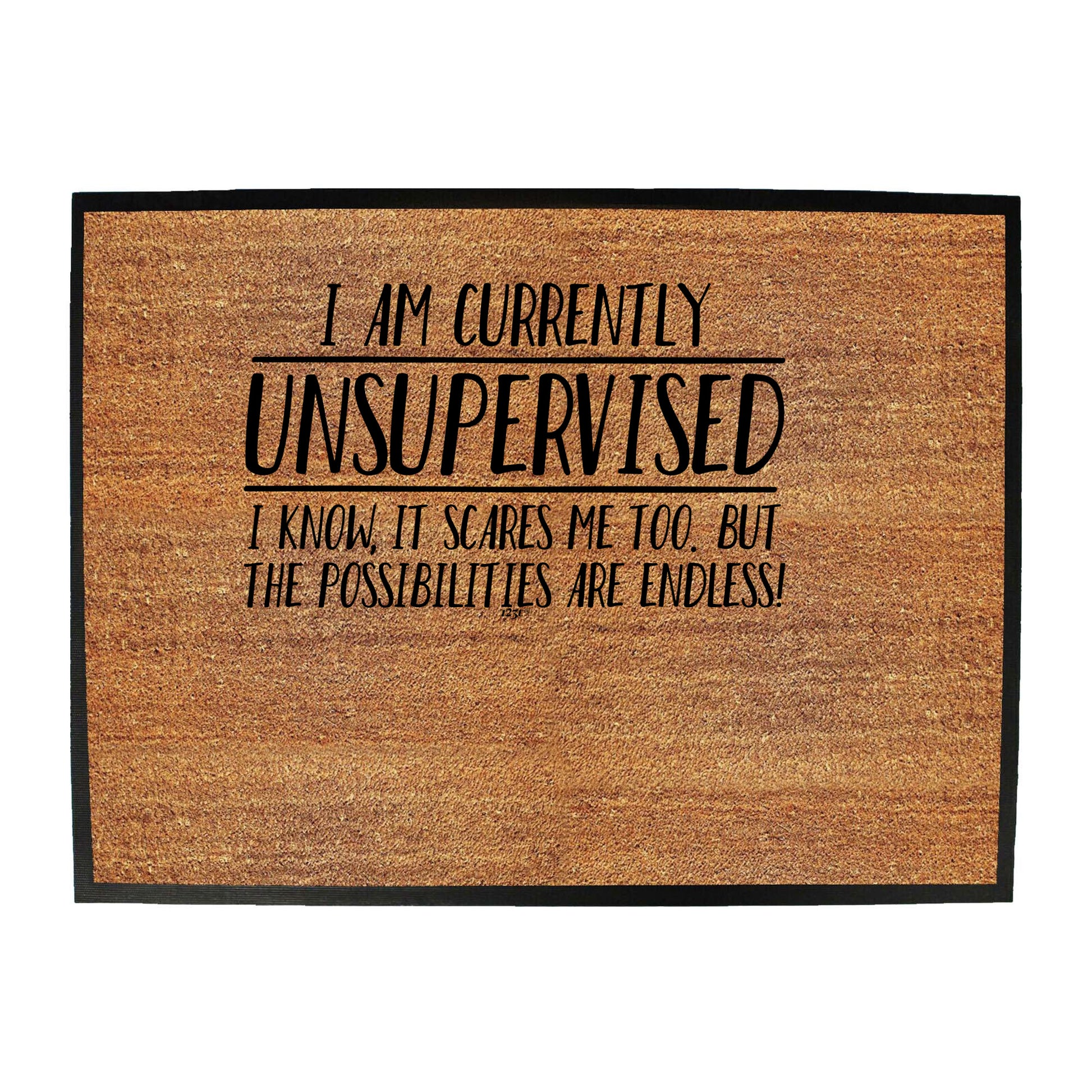 Currently Unsupervised Possisilities Endless - Funny Novelty Doormat