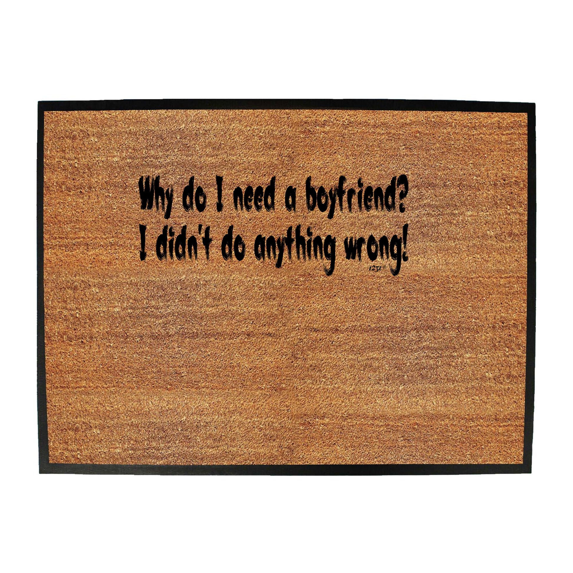 Why Do Need A Boyfriend - Funny Novelty Doormat