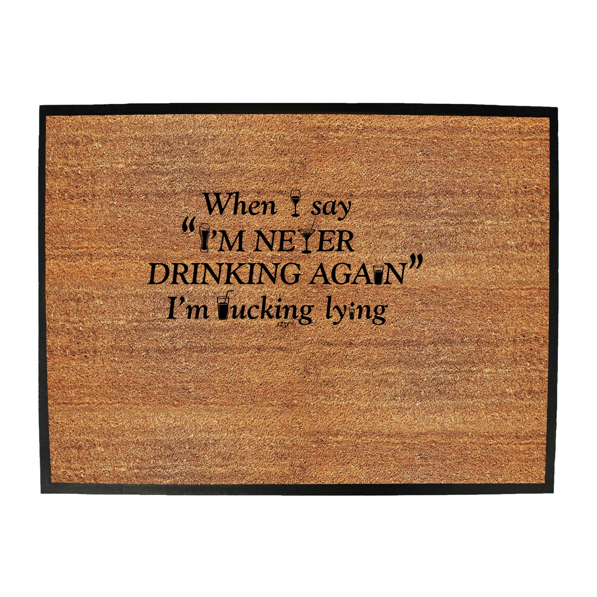 When Say Im Never Drinking Again - Funny Novelty Doormat