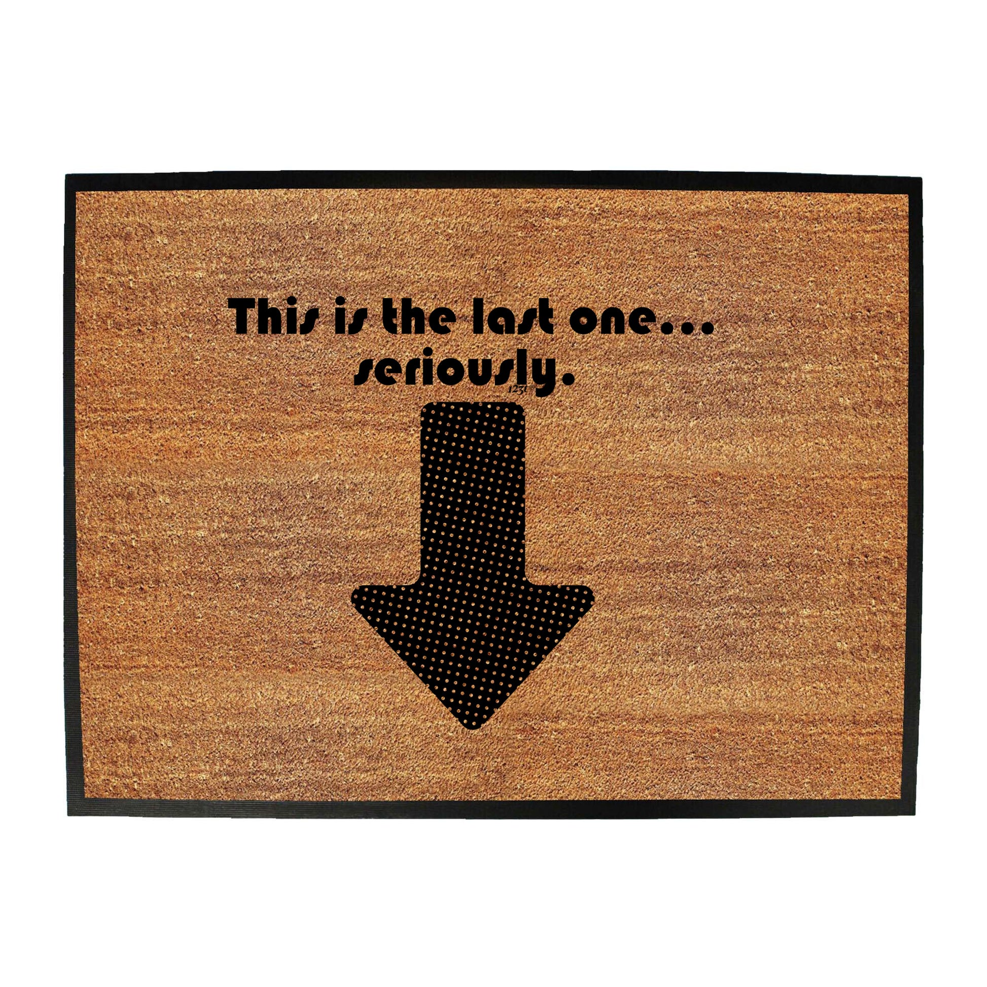 This Is My Last One Seriously - Funny Novelty Doormat