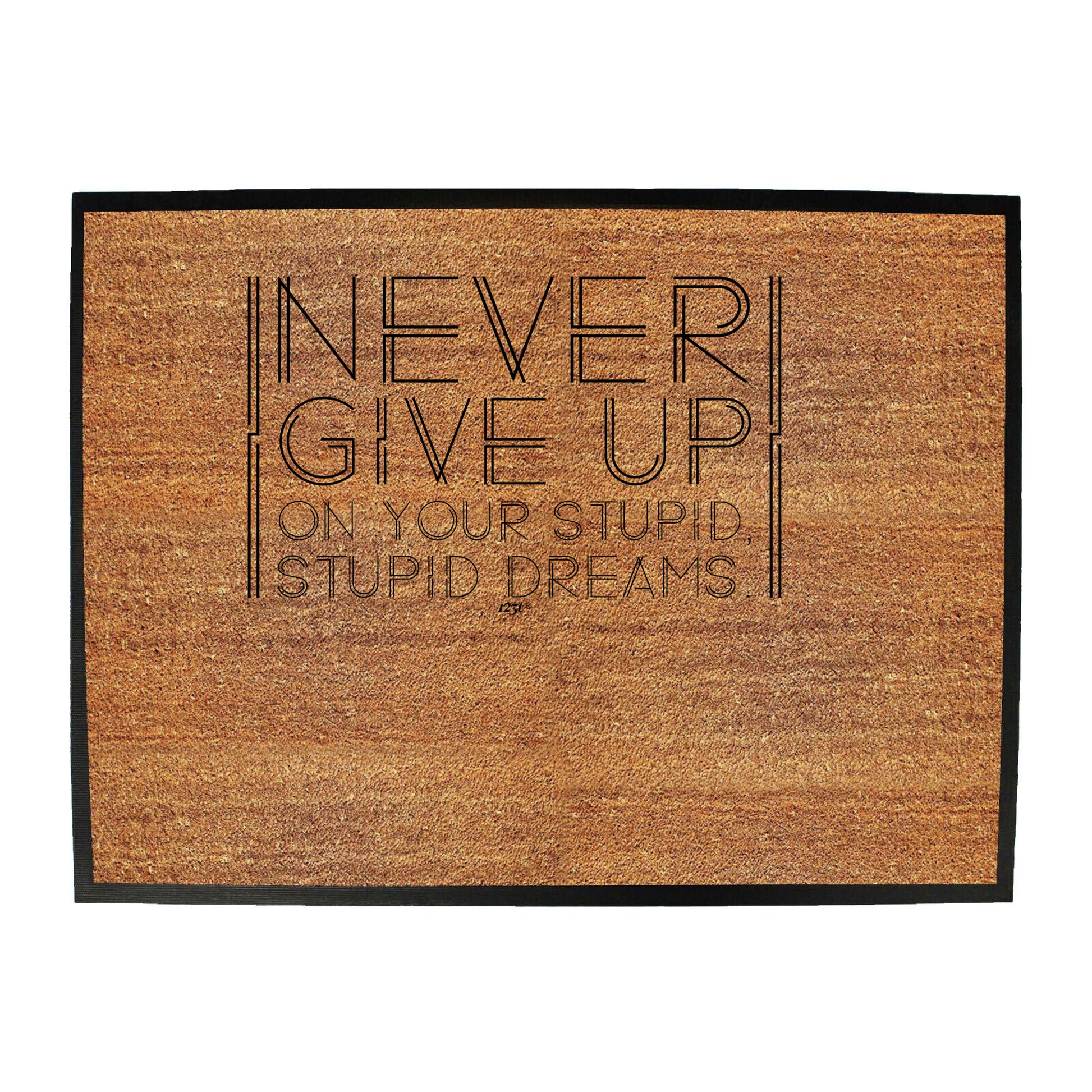 Never Give Up On Your Stupid Dreams - Funny Novelty Doormat