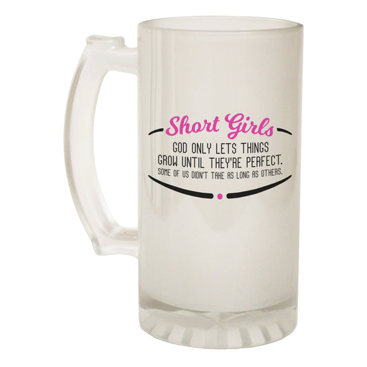 Short Girls Perfect Small - Novelty Funny Frosted Stein - Gift Boxed