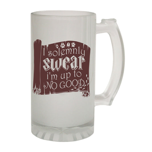 Solemnly Swear Fantasy - Novelty Funny Frosted Stein - Gift Boxed