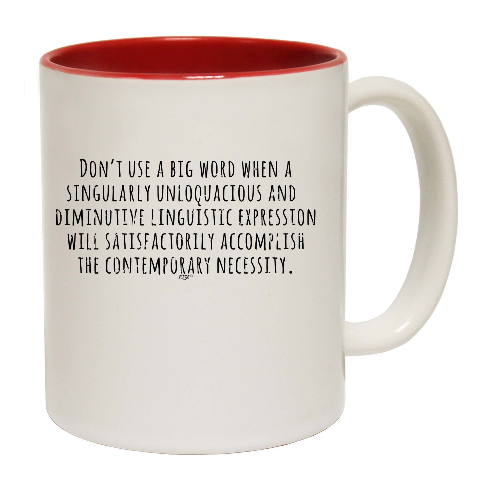 Dont Use Big Words - Funny Coffee Mug