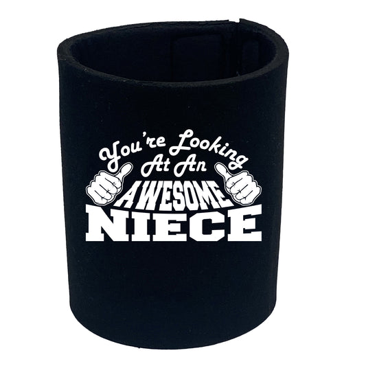 Youre Looking At An Awesome Niece - Funny Stubby Holder