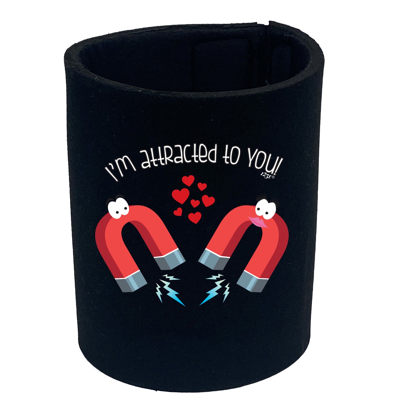 Im Attracted To You - Funny Stubby Holder