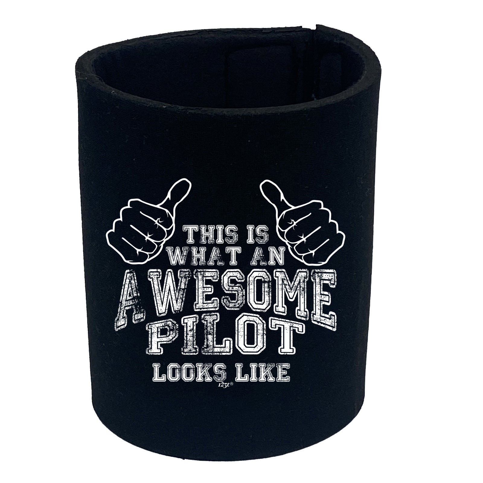 This Is What Awesome Pilot - Funny Stubby Holder