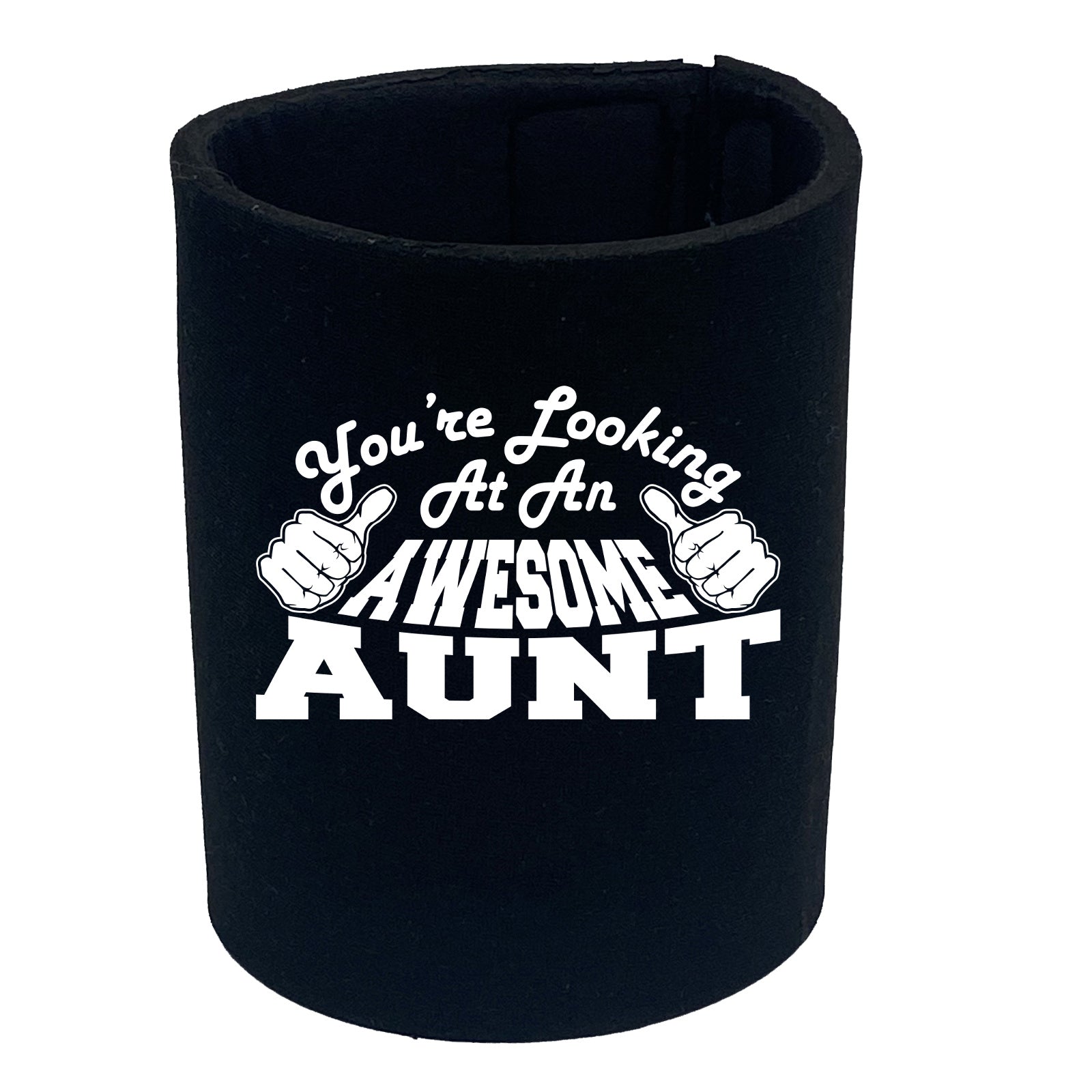 Youre Looking At An Awesome Aunt - Funny Stubby Holder