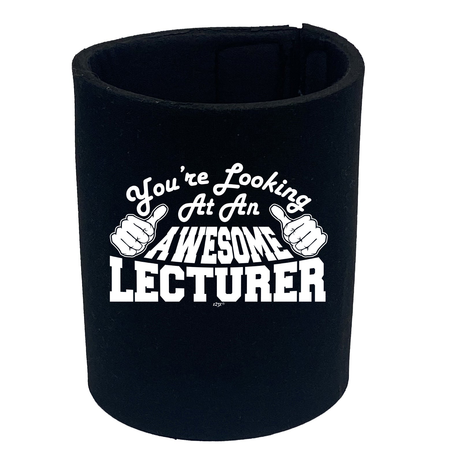 Youre Looking At An Awesome Lecturer - Funny Stubby Holder