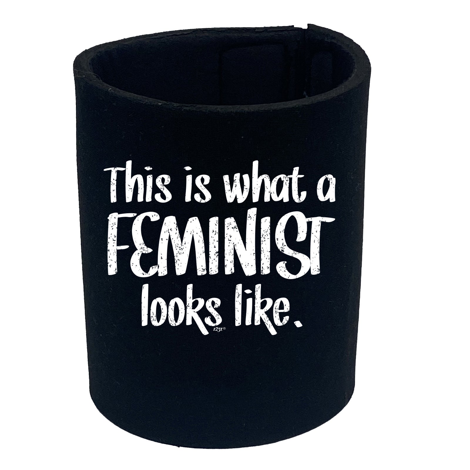 This Is What A Feminist Looks Like - Funny Stubby Holder