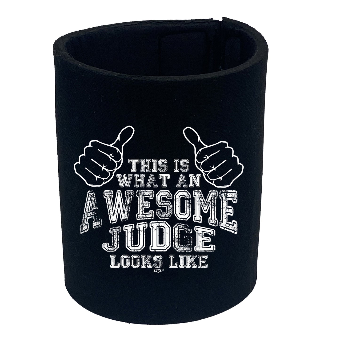 This Is What Awesome Judge - Funny Stubby Holder